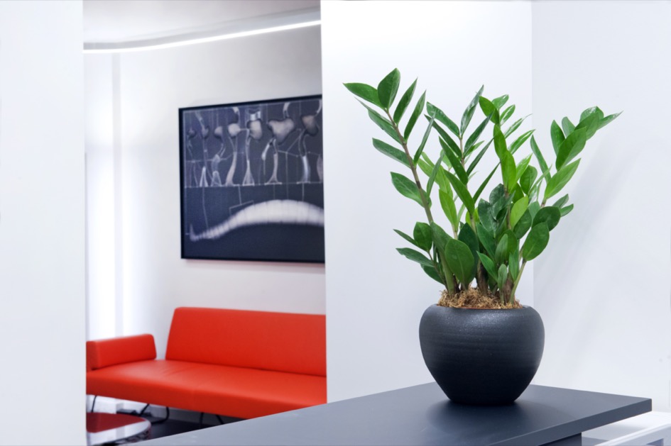 Φωτογραφία απο τον χώρο μας